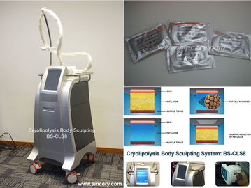 Lichaamsvermageringsdieet/het Vormen van Vette het Bevriezen van Cryolipolysis Machine met Intelligente Temperatuurcontrole