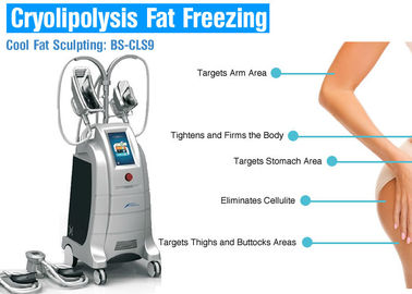 De Machine van het het Lichaamsvermageringsdieet van Cryolipolysis van het gewichtsverlies, Vet Brandend Materiaal niet - Chirurgische Liposuction
