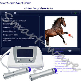 Veterinaire Medische Paardenschokgolfmachine voor Patellar Tendinopathy