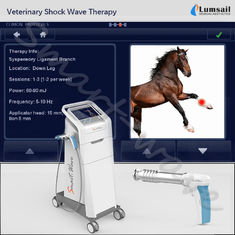 De veterinaire Fysiotherapie van de de Schokgolfmachine van Extracorporeal Paarden voor Kleine Huisdieren