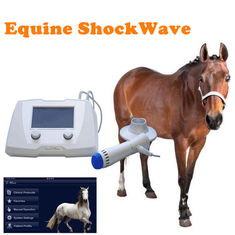 Machine van de de Drukgolftherapie van hoge Intensiteits de Paardenextracorporeal Voor Paard