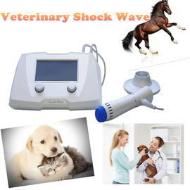 Veterinaire Paardenschokgolfmachine voor Dieren Zachte Kwestie/Peesverwonding