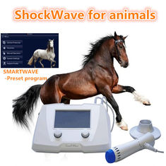 Het veterinaire Paardenmateriaal van de Schokgolfmachine voor Honden/Paarden Witte Kleur