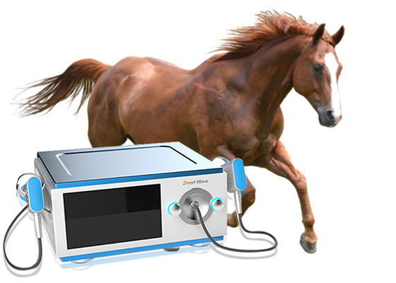 De geconcentreerde Machine van de de Schokgolftherapie van het Zenderpaard voor Paard Rugpijn