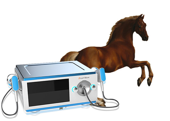 De Therapiemateriaal met geringe geluidssterkte van de Paard PaardenDrukgolf voor Pijn BS-SWT5000