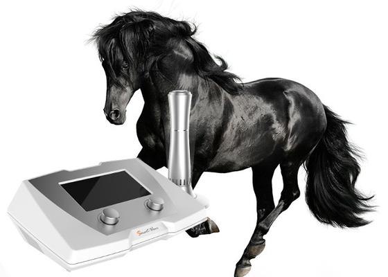 190 MJ Machine van de Hoge Energie de Veterinaire Schoktherapie voor Paard en Kleine Huisdieren