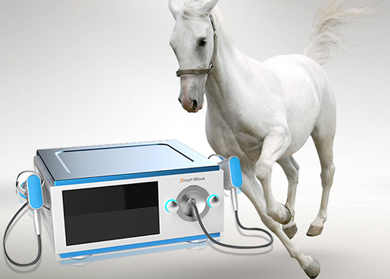 De pijn vermindert Machine de Met geringe geluidssterkte van de Paardschokgolf voor Paardenmedisch apparaat