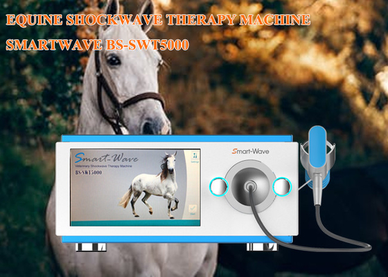 Professioneel van de de therapiemachine van de fysiotherapie radiaal schokgolf PaardenDe Drukgolfmateriaal
