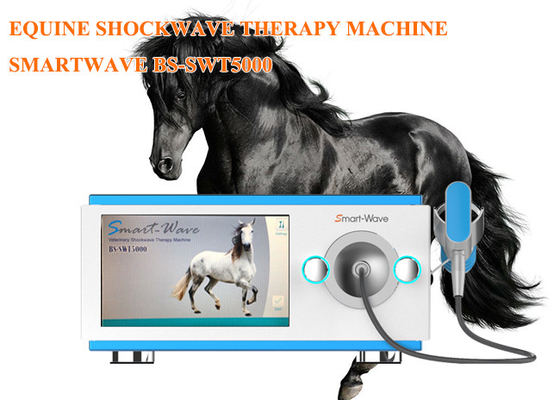 Professioneel van de de therapiemachine van de fysiotherapie radiaal schokgolf PaardenDe Drukgolfmateriaal