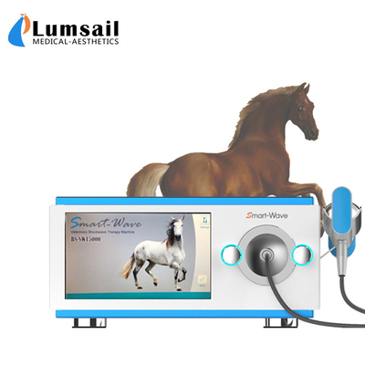 Kleine Dierlijke Fysieke Radiale Paardenschokgolfmachine voor Paardbehandeling