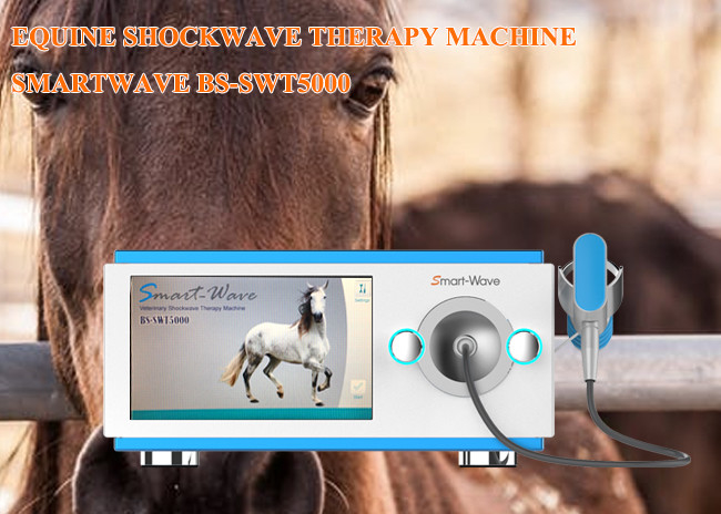 ESWT Horses Extracorporeal Shockwave Therapy Device