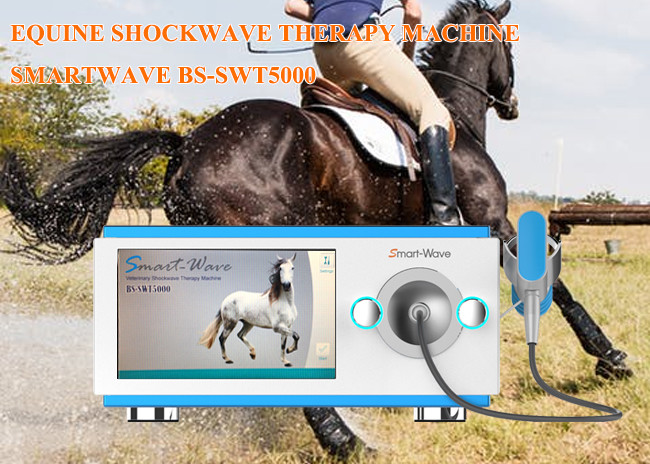 Physiotherapy Race Horses Shockwave Therapy Machine