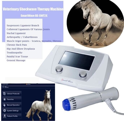 Veterinair Radial Pulse Wave ESWT Equine Shockwave Machine Therapie-apparaat voor paard