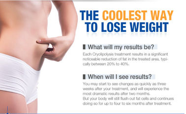 4 handvatten de Vette het Bevriezen Cryolipolysis Machine van het Lichaamsvermageringsdieet voor Gewichtsverlies/Cellulite-Vermindering