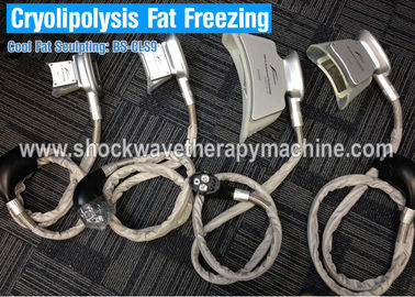 4 handvatten de Vette het Bevriezen Cryolipolysis Machine van het Lichaamsvermageringsdieet voor Gewichtsverlies/Cellulite-Vermindering