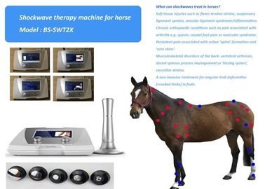 Akoestische Paarden Dierlijke van de de Schokgolftherapie van de Pijnbehandeling van de het Systeem 1-22Hz trekker het punttherapie