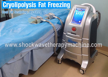 De comfortabele Cryolipolysis-Machine van het Lichaamsvermageringsdieet met 4 PCs-Instrumenten