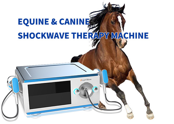 De Therapiemateriaal met geringe geluidssterkte van de Paard PaardenDrukgolf voor Pijn BS-SWT5000