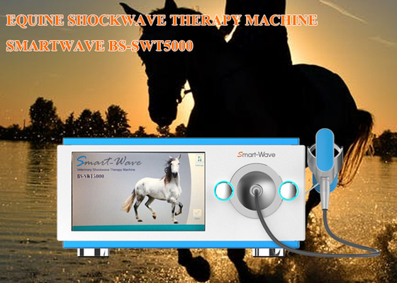 De veterinaire Medische Fysieke Machine van de Therapieschok voor Paarden Eenvoudig Ontwerp
