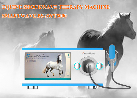 De veterinaire Medische Fysieke Machine van de Therapieschok voor Paarden Eenvoudig Ontwerp