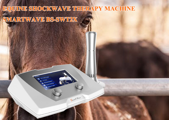 De Machine van de de Schokgolftherapie van het kliniekpaard 1 - 22 Herz-Frequentie voor Suspensieve Ligamentziekte