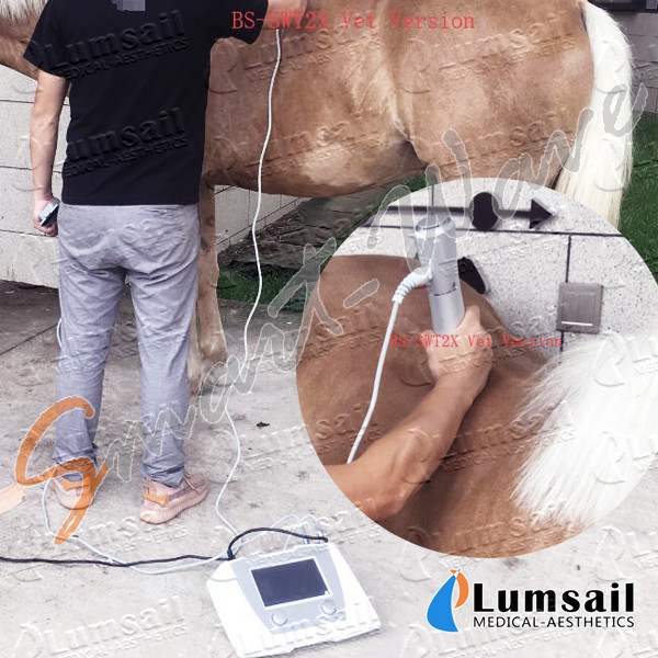 De radiale Machine van de de Schokgolftherapie van ESWT Paarden Veterinaire